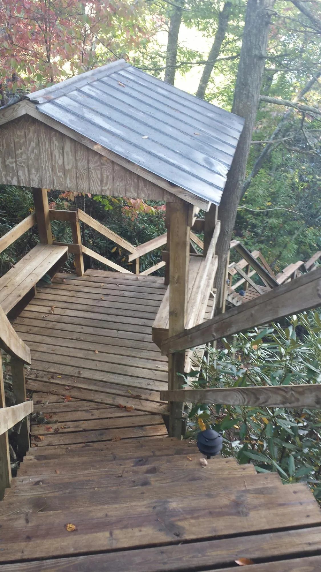 Metal roofed shelter over wooden steps on a wooded walkway in Stockton